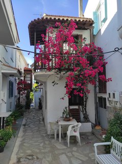 FOTKA - eck ostrov Skiathos