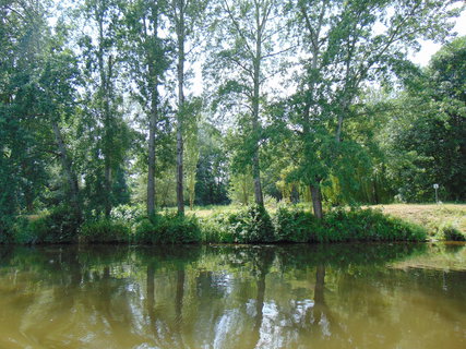 FOTKA - Podbrady troku jinak