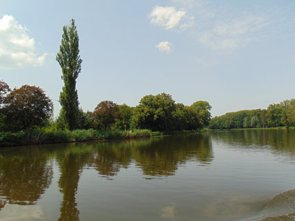 FOTKA - Podbrady troku jinak