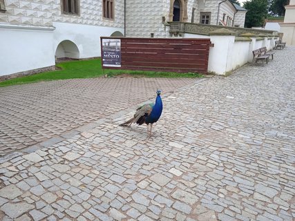 FOTKA - Putovn po esku  Pardubice