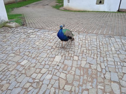 FOTKA - Putovn po esku  Pardubice