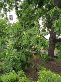 FOTKA - Putovn po esku  Pardubice