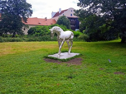 FOTKA - Putovn po esku  Pardubice