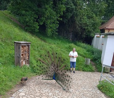 FOTKA - Putovn po esku  Pardubice