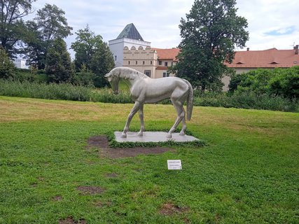 FOTKA - Putovn po esku  Pardubice