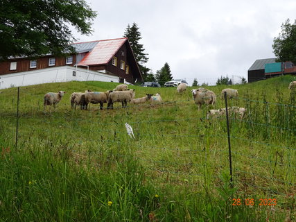 FOTKA - Z Pece pod Snkou do Janskch Lzn