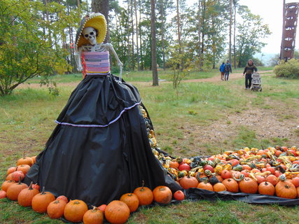 FOTKA - Nvrat po letech - Botanick zahrada Praha