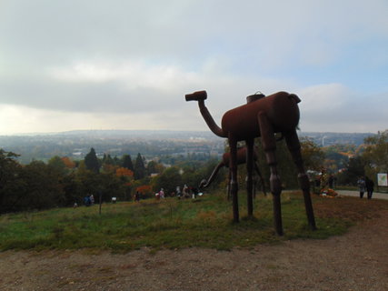 FOTKA - Nvrat po letech - Botanick zahrada Praha