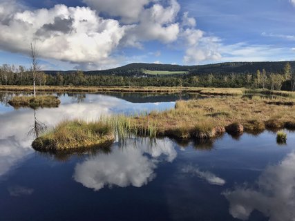 FOTKA - umavsk touln  zNovch Hut do Borovch Lad