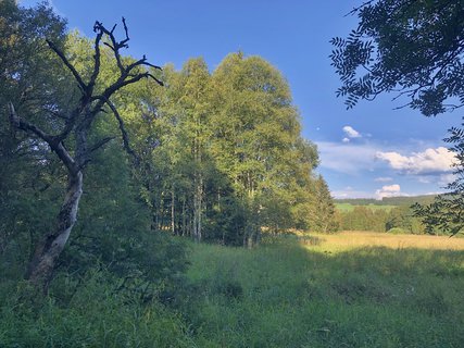 FOTKA - umavsk touln  zNovch Hut do Borovch Lad