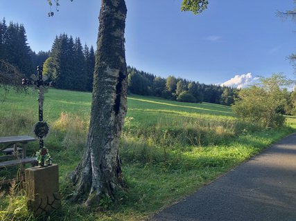 FOTKA - umavsk touln  zNovch Hut do Borovch Lad