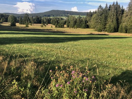 FOTKA - umavsk touln  zNovch Hut do Borovch Lad