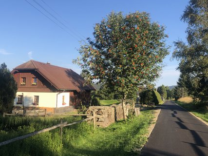 FOTKA - umavsk touln  zNovch Hut do Borovch Lad