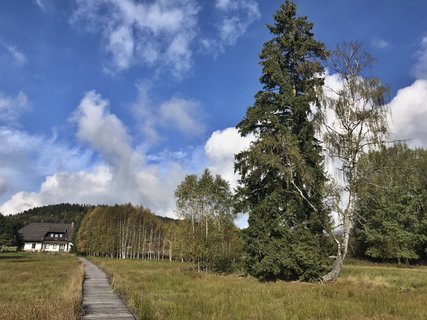 FOTKA - umavsk touln  zNovch Hut do Borovch Lad