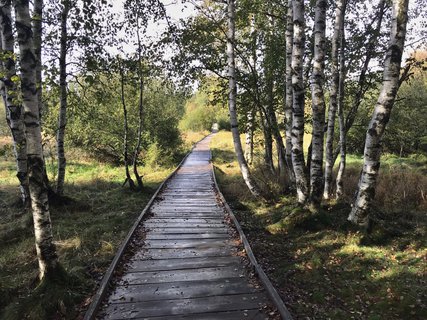 FOTKA - umavsk touln  zNovch Hut do Borovch Lad