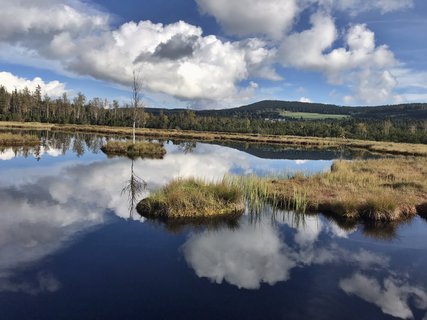 FOTKA - umavsk touln  zNovch Hut do Borovch Lad