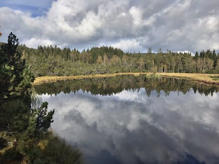 FOTKA - umavsk touln  zNovch Hut do Borovch Lad