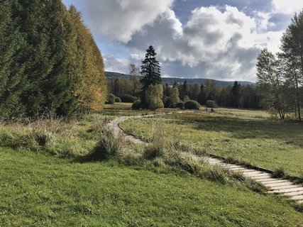 FOTKA - umavsk touln  zNovch Hut do Borovch Lad