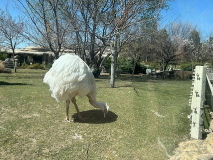 FOTKA - Park Sazova - Disneyland of Eskisehir