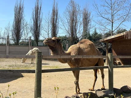 FOTKA - Park Sazova - Disneyland of Eskisehir