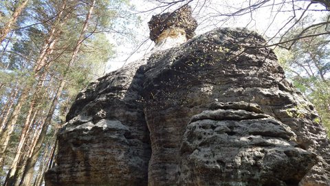 FOTKA - I tady jsme byli - krsa ukryt ve skalch