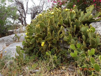 FOTKA - Ostrov Symi - malebn krsa