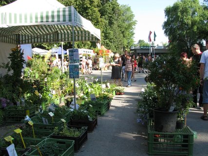 FOTKA - Letn Flora Olomouc 2011: rajsk dvr, bylinkov a voav zahrady