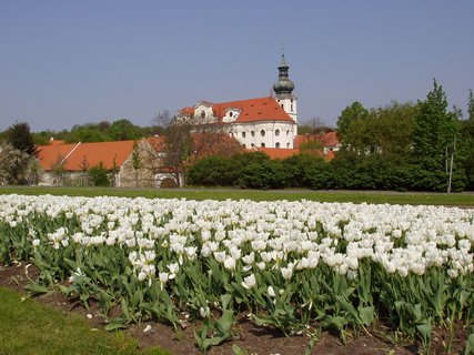 FOTKA - Vychzka do prody i za kulturou - Hvzda a Bevnovsk klter