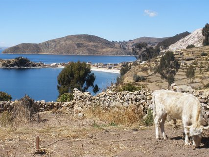 FOTKA - Isla del Sol aneb mjte koku vdy po ruce