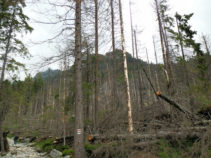 FOTKA - Vysok Tatry - ti chaty 