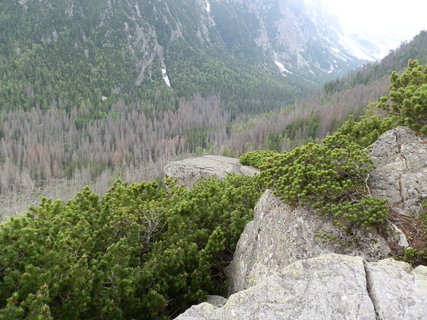 FOTKA - Vysok Tatry - ti chaty 