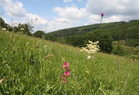 FOTKA - Slovcko pro cyklisty, pznivce vletnch plaveb i filmov fanouky