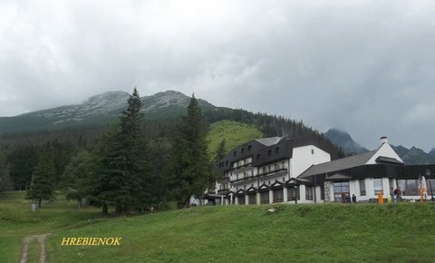 FOTKA - Kdy Tatry kvetou