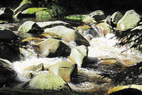 FOTKA - Nejkrsnj msta umavy: Antgl a okol