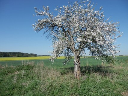 FOTKA - Vranovskem a na skok k sousedm