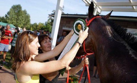 FOTKA - Velk pardubick 2012 se bl