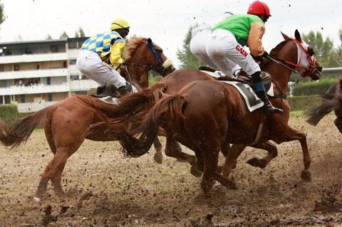 FOTKA - Velk pardubick 2012 se bl