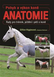 Pohyb a vkon kon - Anatomie