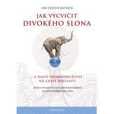 Jak vycviit divokho slona