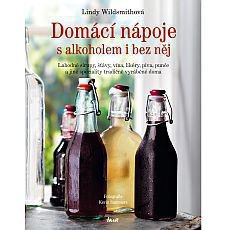 Domc npoje