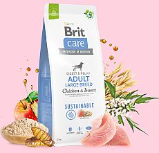  Brit Care Sustainable