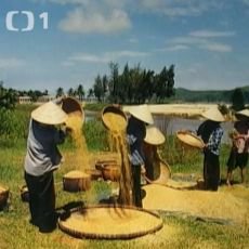 Cestomnie: Vietnam - Barvy trop