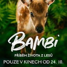 BAMBI