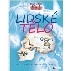 Lidsk tlo  jak to funguje  fakta a zajmavosti