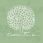 Nobilis Tilia