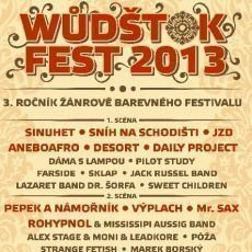 WDTOK FEST 2013 nabdne bohat program