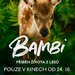 BAMBI: pbh ivota z les