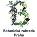 Vherci soute "Sout o vstupenky na vstavu orchidej do Botanick zahrady Praha"