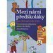 Mezi nmi pedkolky - Vestrann pprava dtte do koly