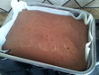 fotka Kanadsk brownies